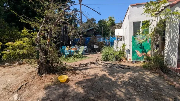 a view of a backyard with plants and a tree