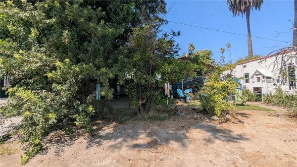 a view of a yard with plants
