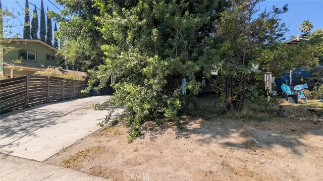 a view of a yard with plants and trees