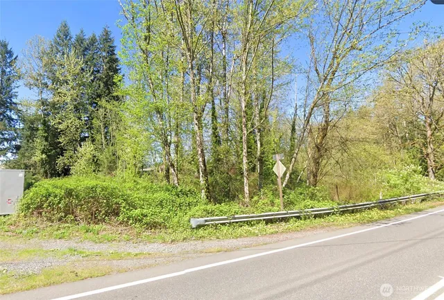 a view of a yard from a window