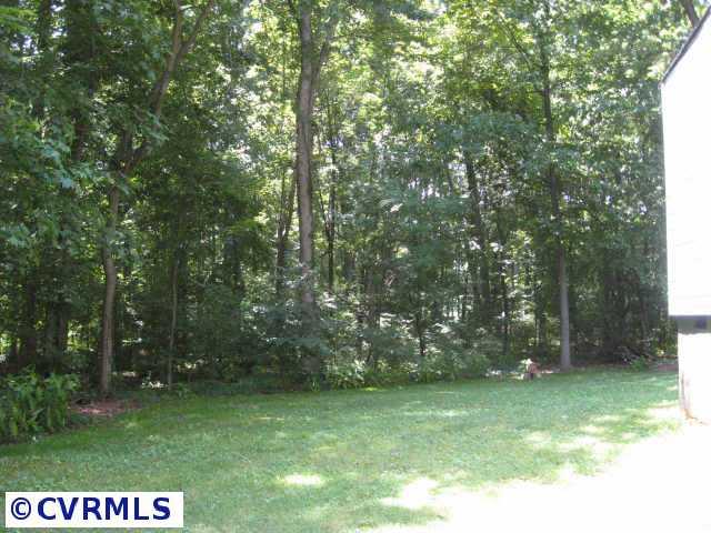 787 Broad St Road Manakin-Sabot, VA 23103 - Photo 3 of 8 Other - View toward wooded side/rear yard