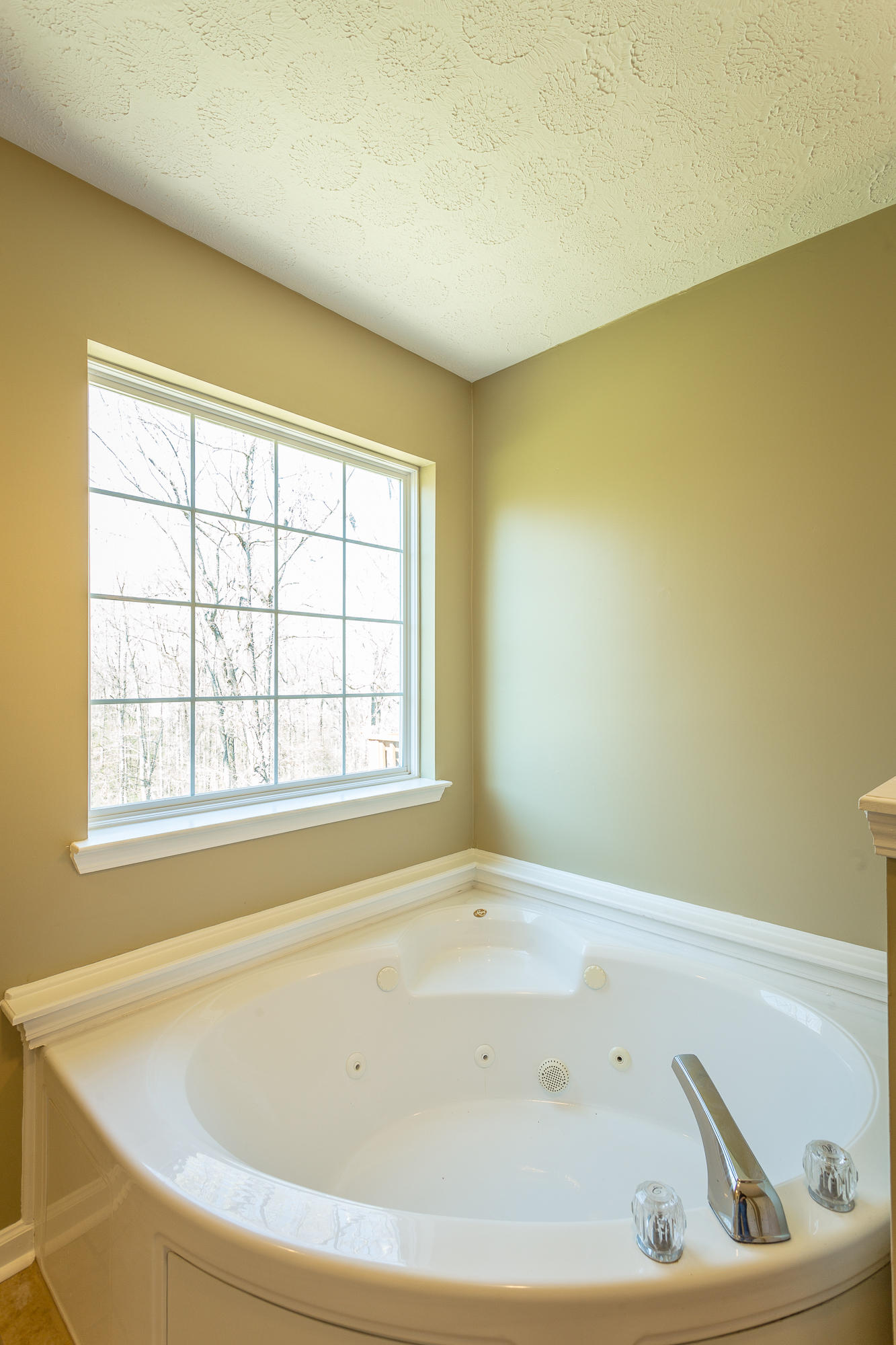 6335 Rim Crest Lane Harrison, TN 37341 - Photo 15 of 46 6335 Rim Crest Lane-50