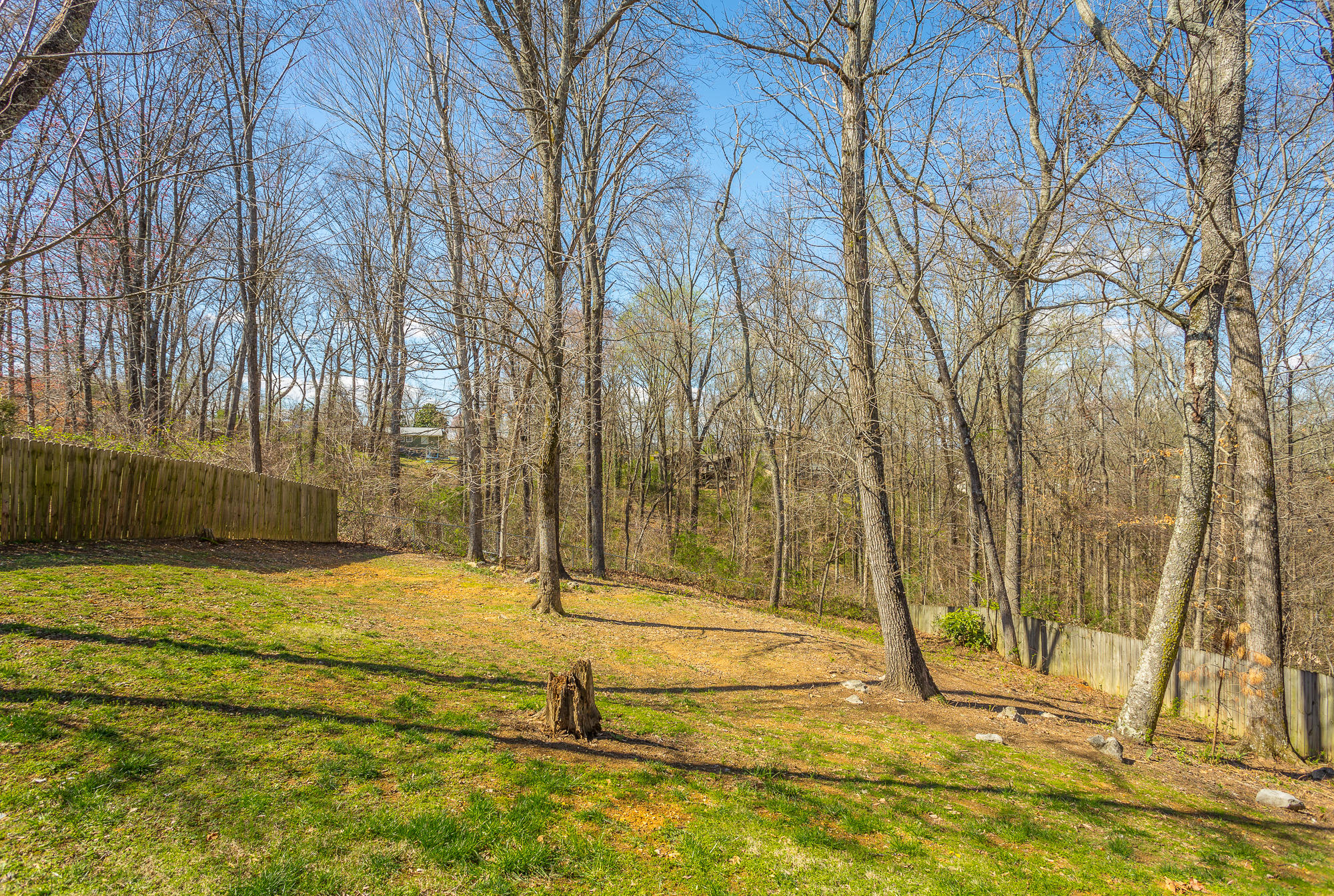 6335 Rim Crest Lane Harrison, TN 37341 - Photo 30 of 46 6335 Rim Crest Lane-88