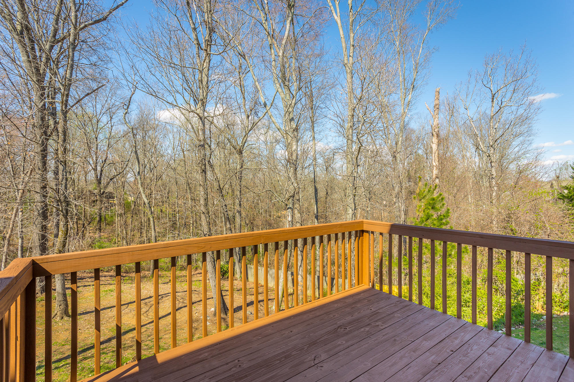 6335 Rim Crest Lane Harrison, TN 37341 - Photo 42 of 46 6335 Rim Crest Lane-40