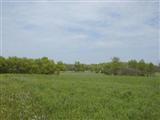 Duck Lake Road Allen, MI 49227 - Photo 1 of 3 Primary Photo