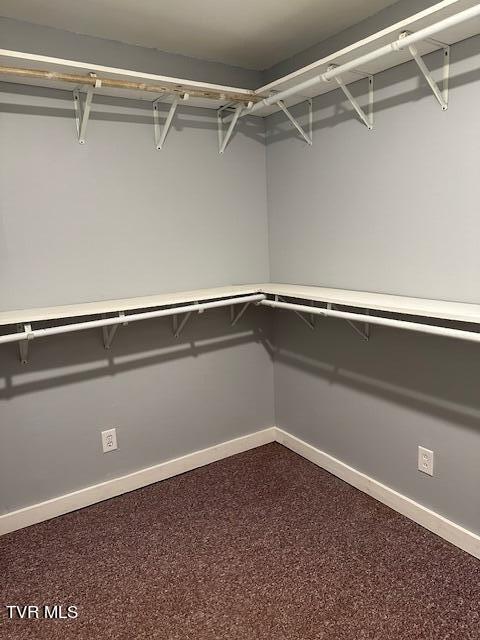190 Walter Stevens Road Hampton, TN 37658 - Photo 19 of 30 primarycloset
