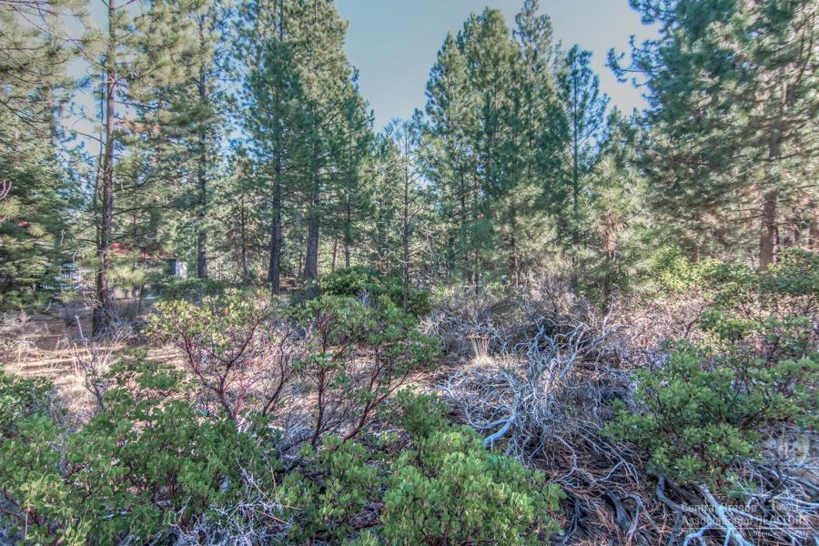 18726 Choctaw Road Bend, OR 97702 - Photo 6 of 11 Additional Photo