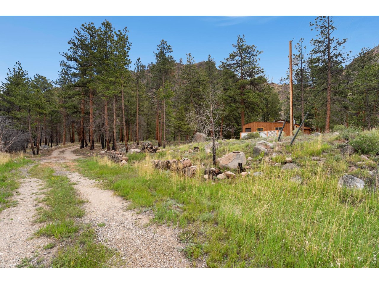 36917 Poudre Canyon Road Bellvue, CO 80512 - Photo 35 of 46 Drive from road to house