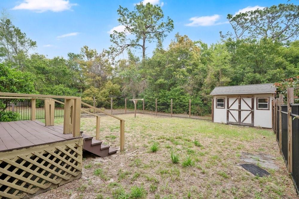 5137 Mt Plymouth Road Apopka, FL 32712 - Photo 51 of 58 a view of a backyard with floor to ceiling window and tree