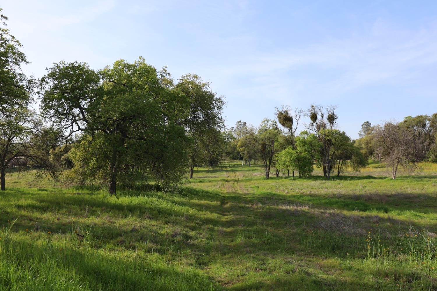 10 Douglas Road South Coarsegold, CA 93614 - Photo 24 of 29 Gallery Image 24