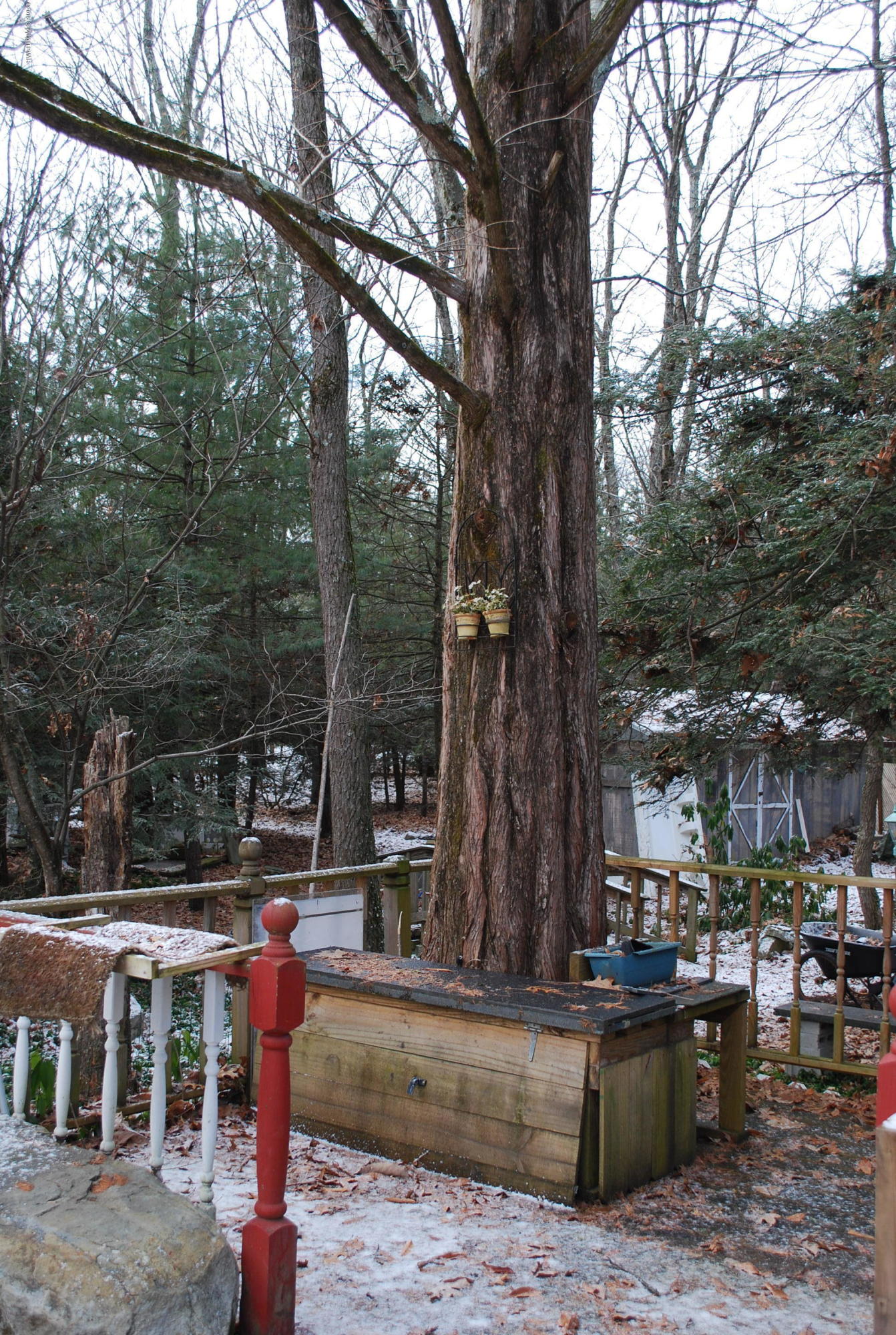 185 Balson Road Stroudsburg, PA 18360 - Photo 74 of 76 DSC_0824