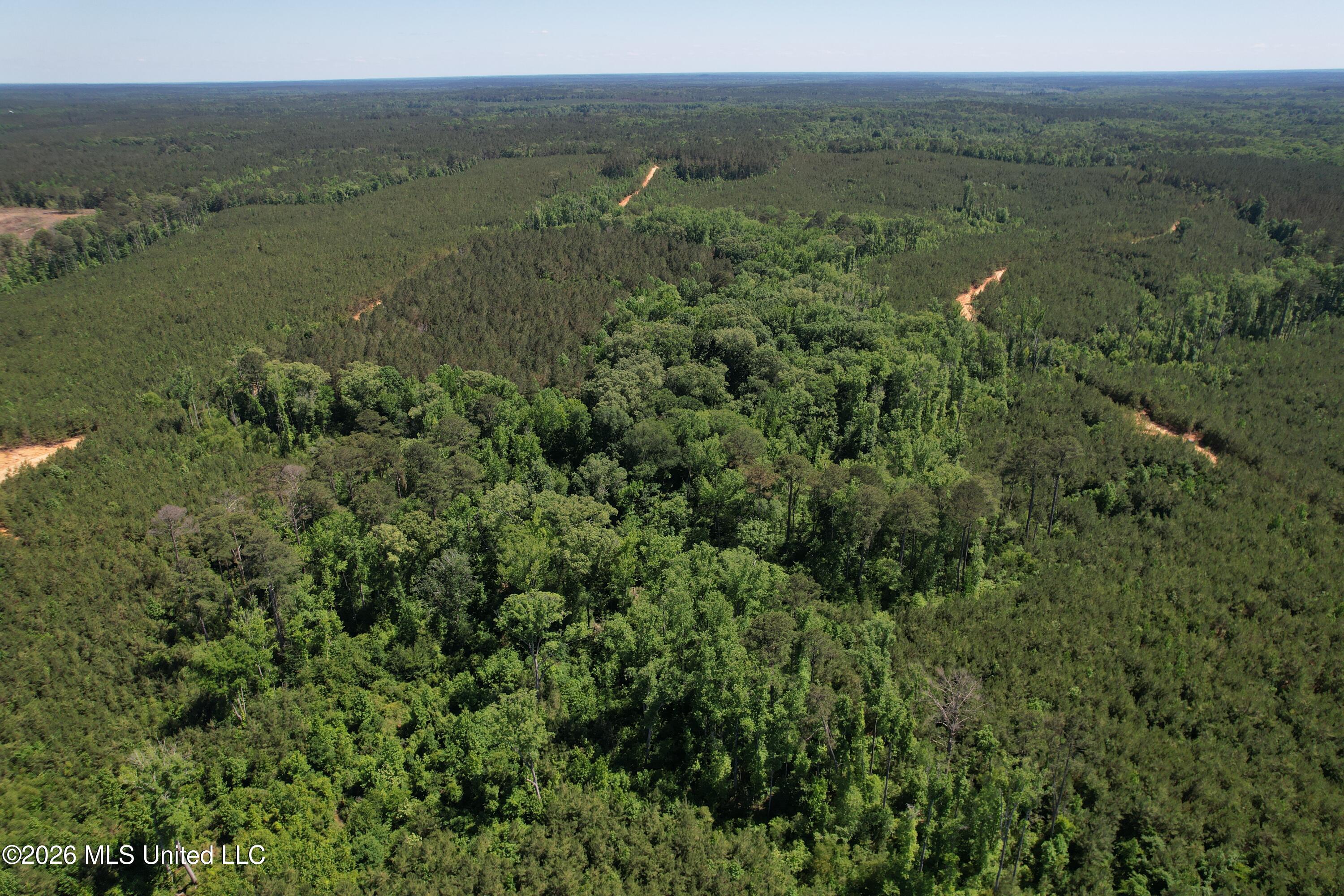 Couparle Road Camden, MS 39045 - Photo 9 of 47 DJI_0125