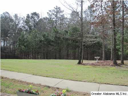 420 Turkey Trail Road Odenville, AL 35120 - Photo 17 of 29