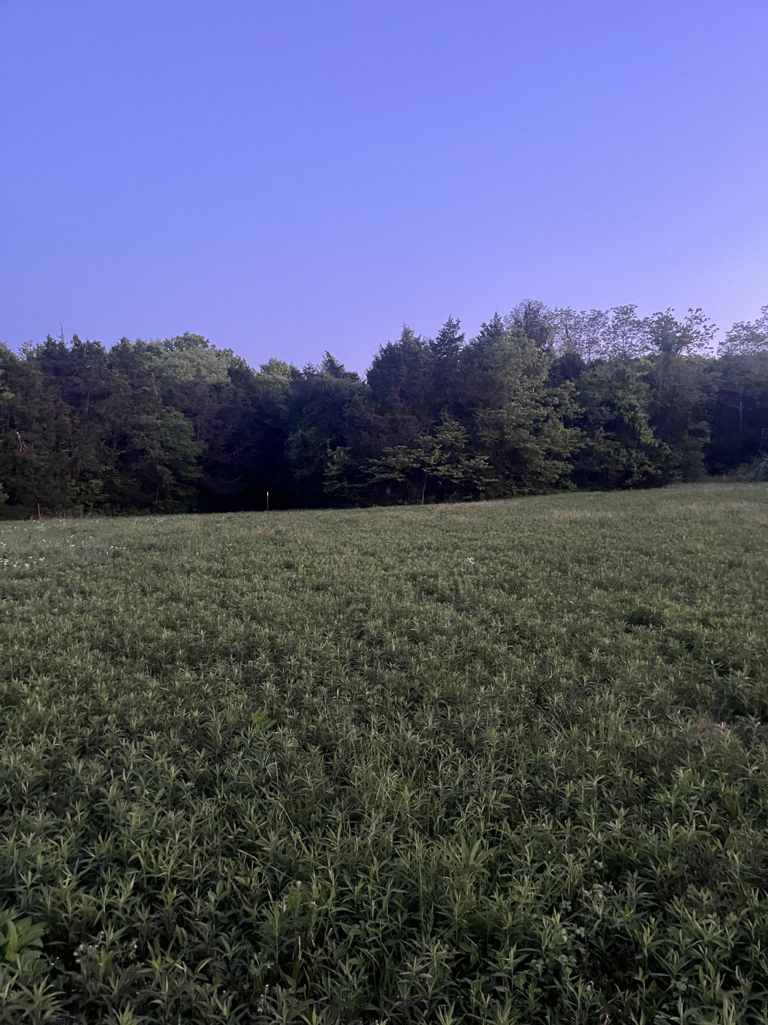 0 Rock Hill Road Readyville, TN 37149 - Photo 12 of 16 a view of an outdoor space and mountain view