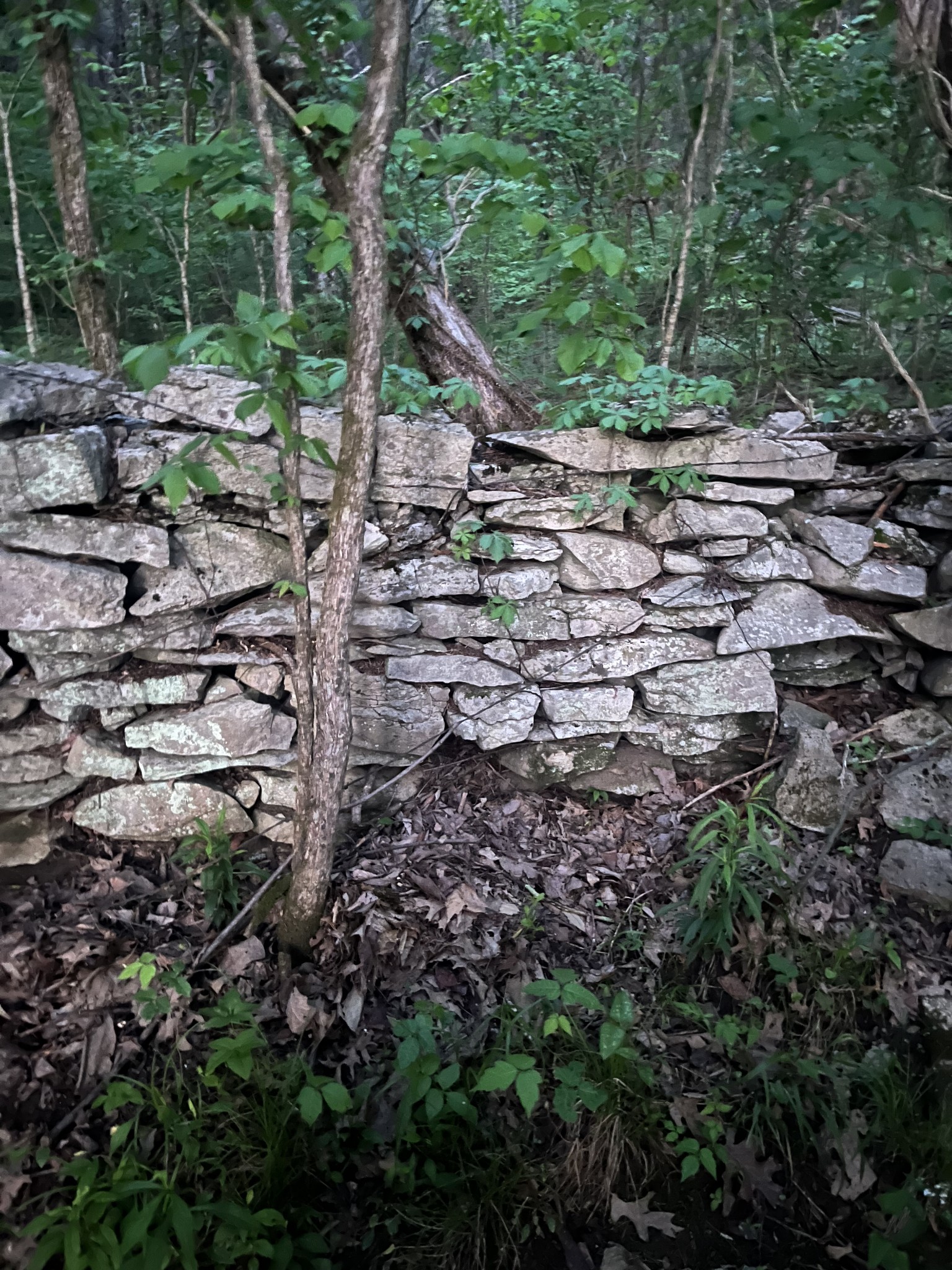0 Rock Hill Road Readyville, TN 37149 - Photo 15 of 16 a view of an outdoor space