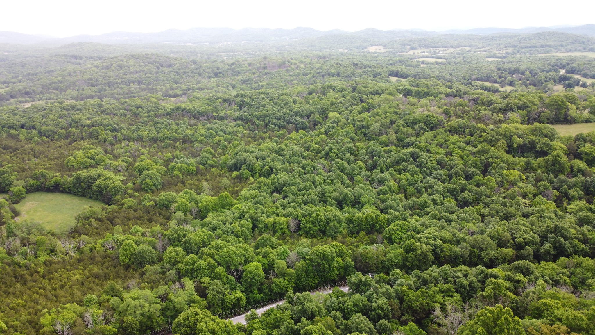 0 Rock Hill Road Readyville, TN 37149 - Photo 16 of 16 a view of a green field with lots of bushes