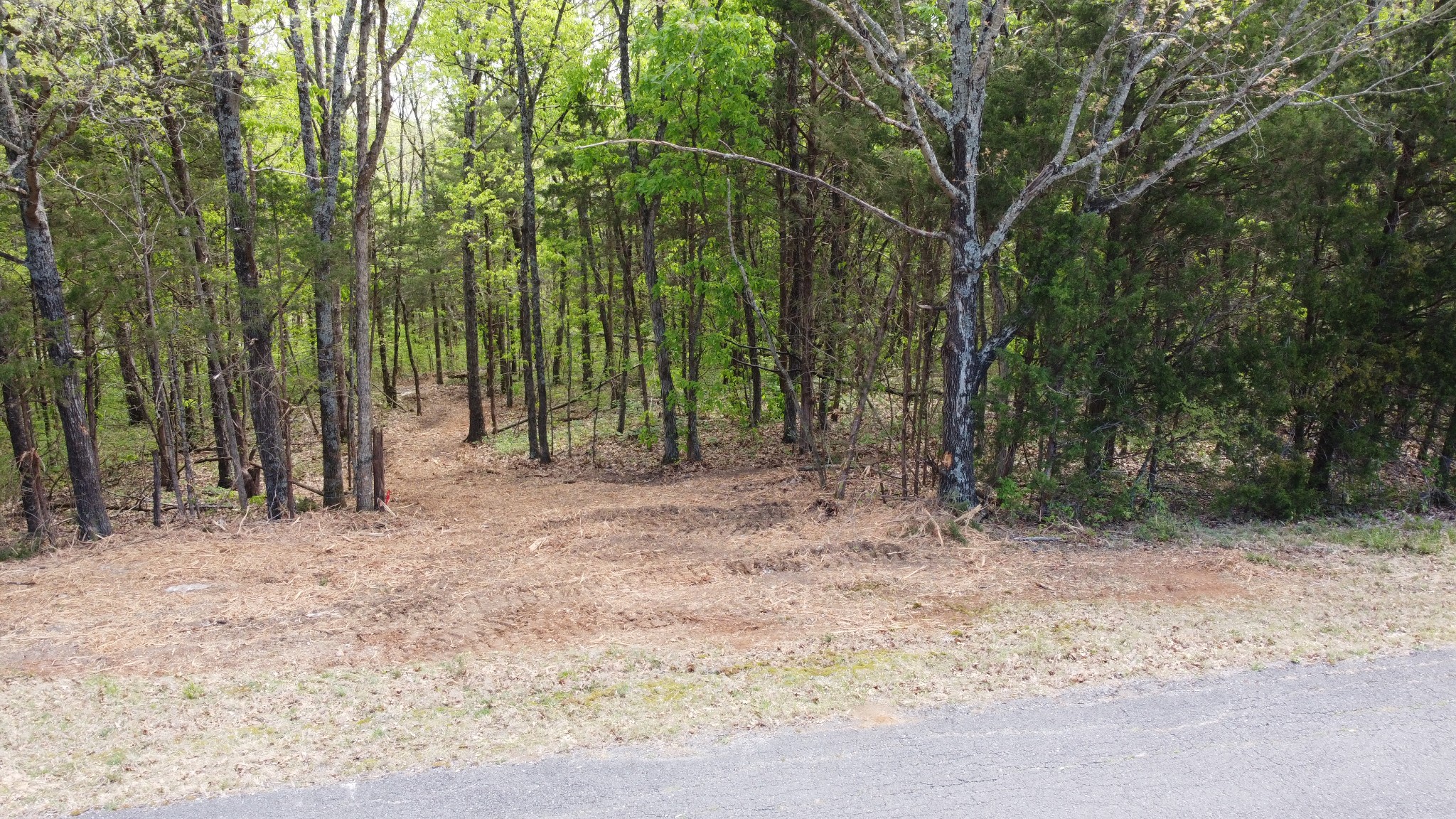 0 Rock Hill Road Readyville, TN 37149 - Photo 5 of 16 a view of outdoor space with trees