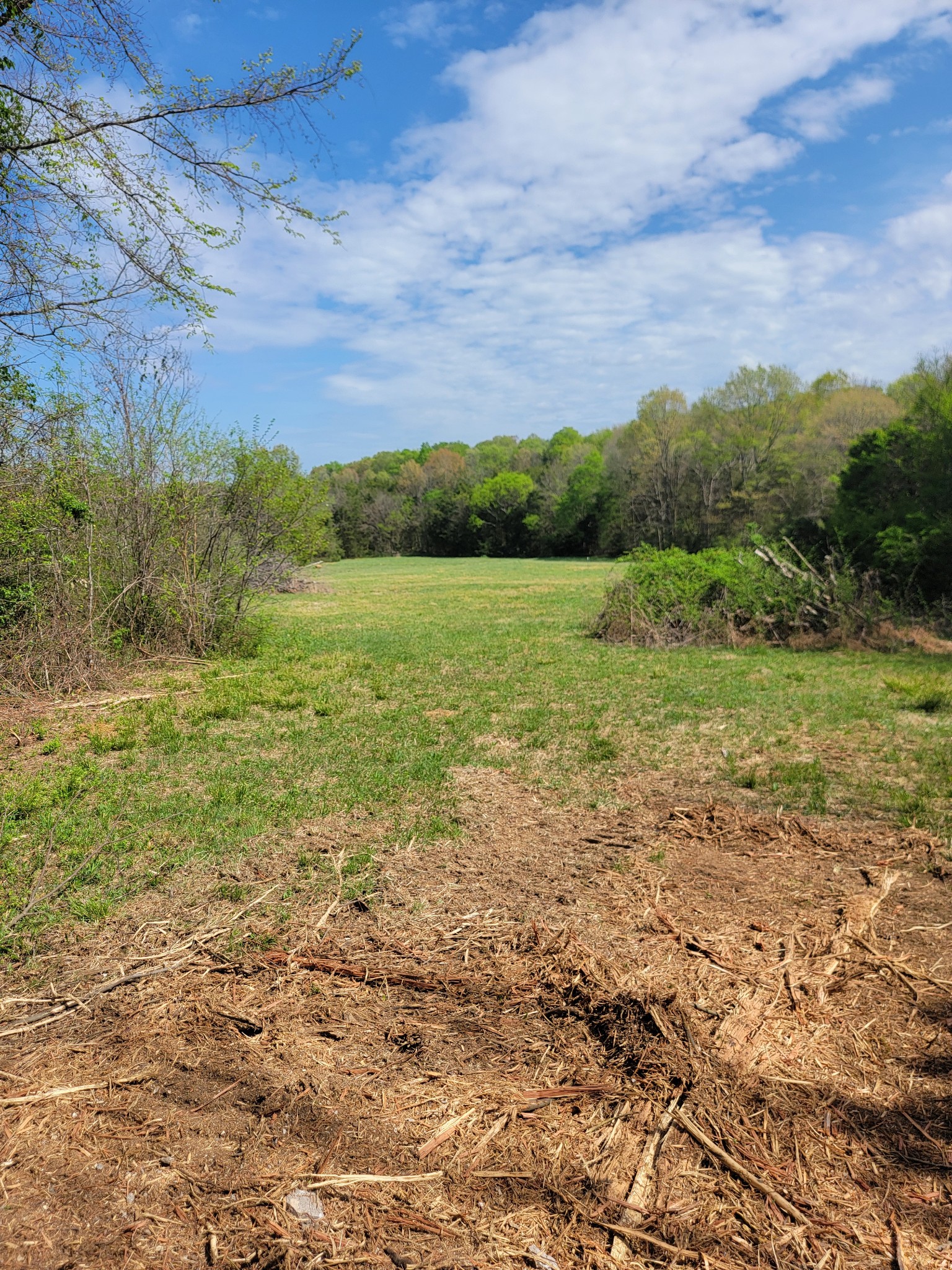 0 Rock Hill Road Readyville, TN 37149 - Photo 10 of 16 a view of an outdoor space and a yard