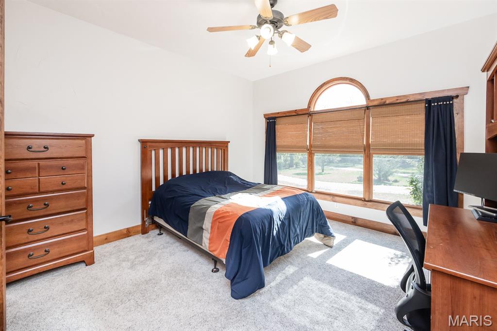 401 Pecan Lane Belleville, IL 62223 - Photo 48 of 66