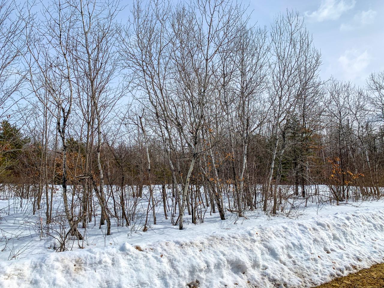 1-2 Graf Road Tomahawk, WI 54487 - Photo 1 of 10 Gallery Image 1