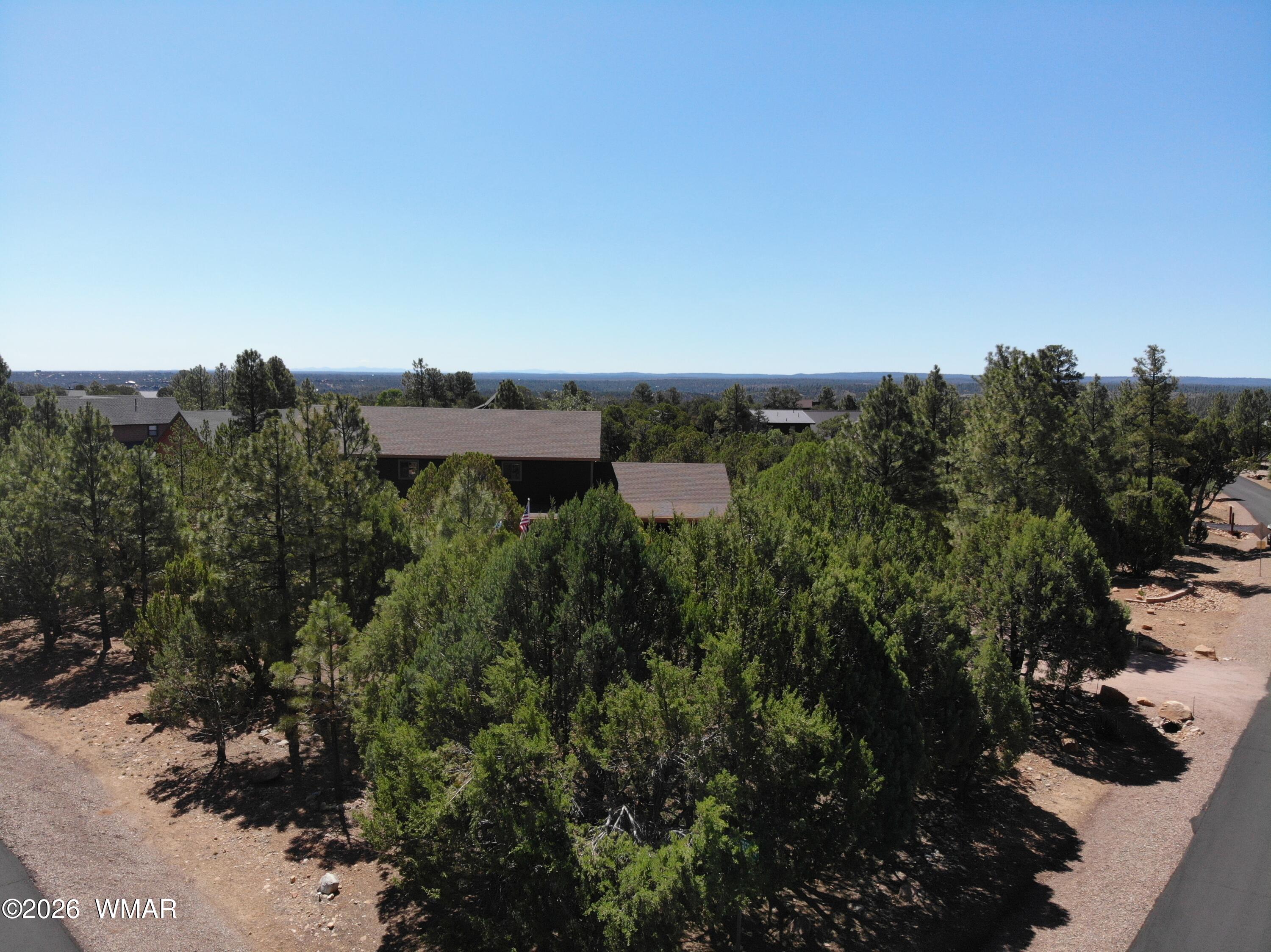 1495 Shade Tree Drive Heber, AZ 85928 - Photo 55 of 58