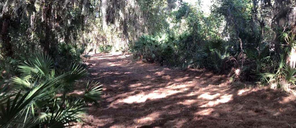 Lake Reedy Boulevard North Frostproof, FL 33843 - Photo 2 of 8