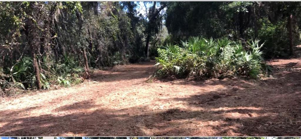 Lake Reedy Boulevard North Frostproof, FL 33843 - Photo 5 of 8