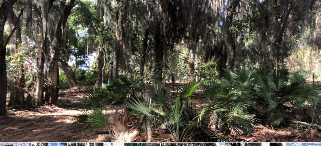 Lake Reedy Boulevard North Frostproof, FL 33843 - Photo 7 of 8