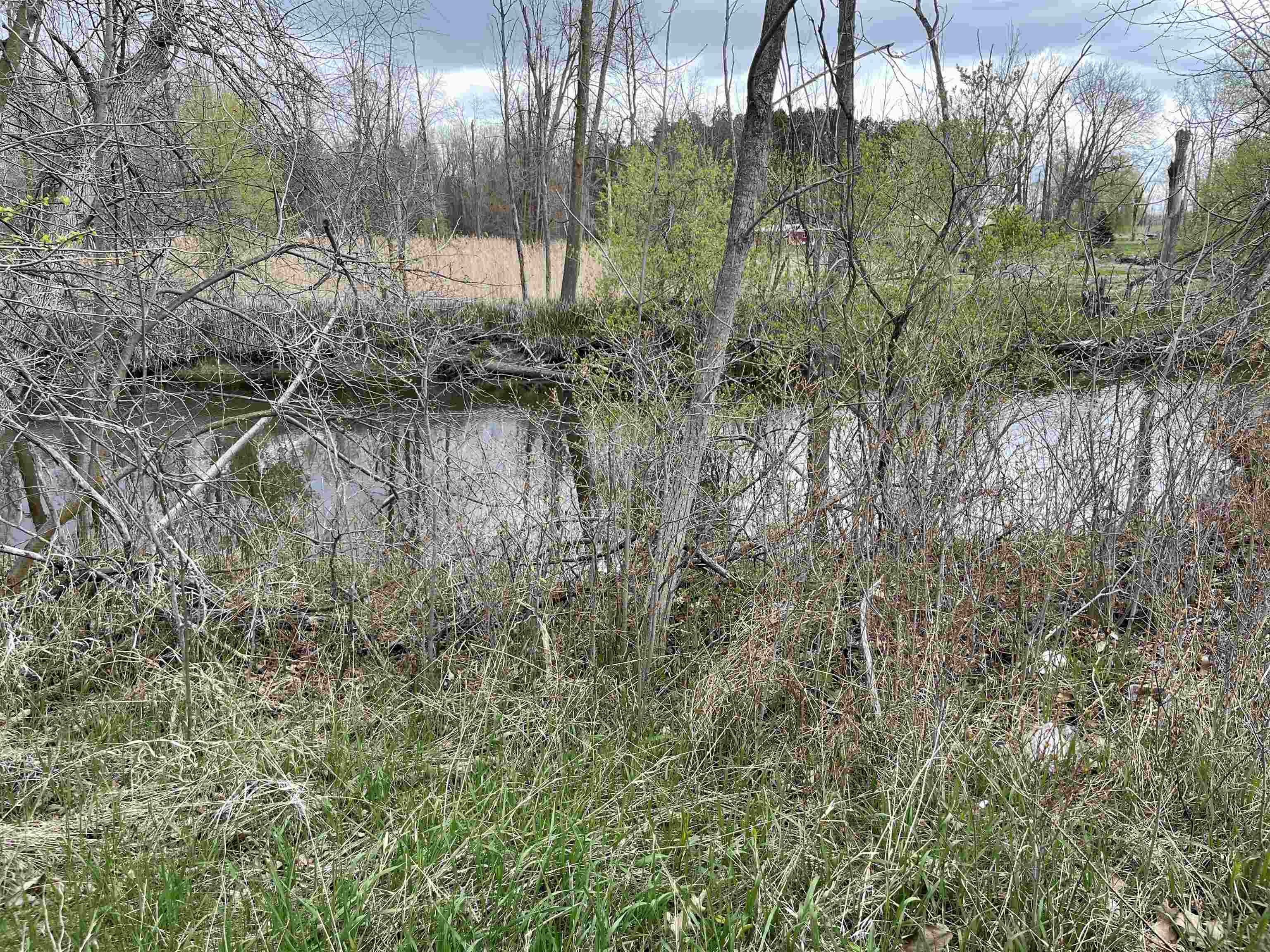 Nka Pine River Road Standish, MI 48658 - Photo 4 of 4