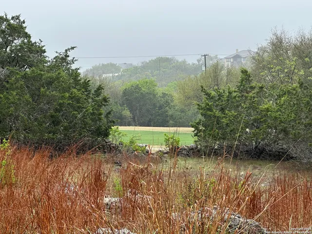 $82,200 | 117 North John Bird, Blanco, TX 78606