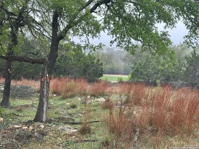 $82,200 | 117 North John Bird, Blanco, TX 78606