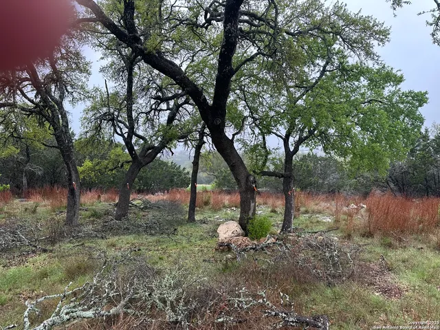 $82,200 | 117 North John Bird, Blanco, TX 78606