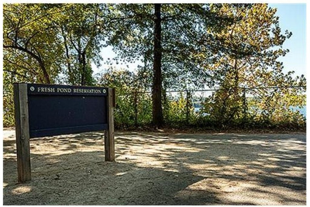 655 Concord Avenue, Unit 602 Cambridge, MA 02138 - Photo 22 of 25