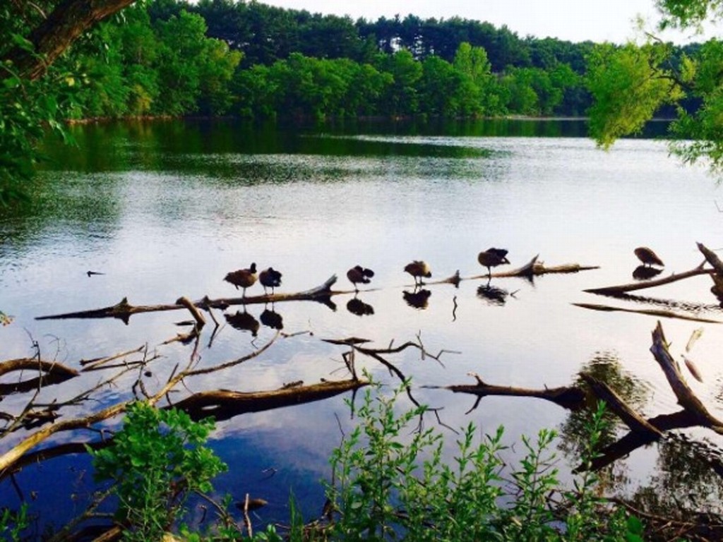 655 Concord Avenue, Unit 602 Cambridge, MA 02138 - Photo 23 of 25