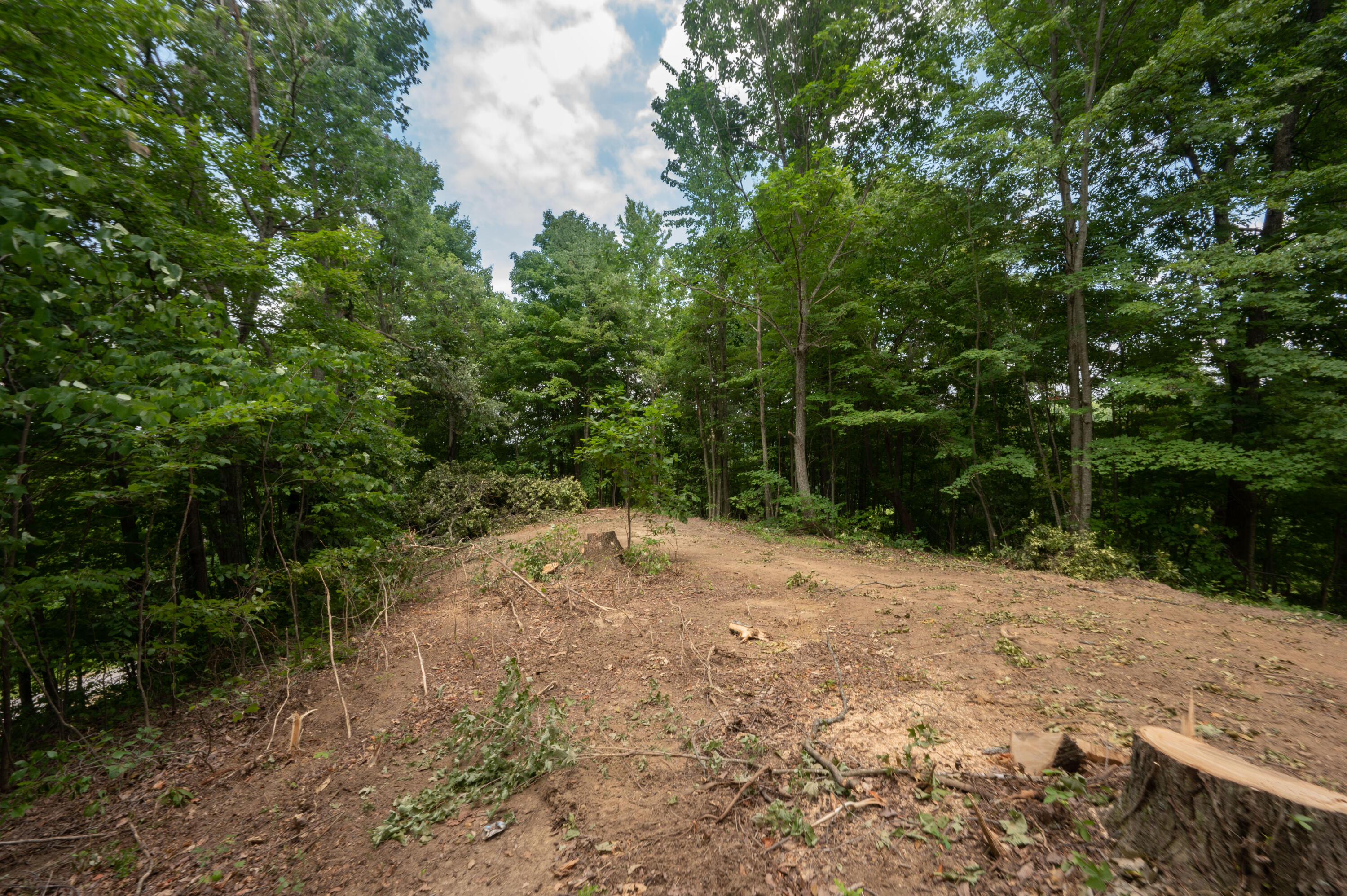 Lot 15 Rock House Ridge Stanton, KY 40380 - Photo 7 of 24 DSC_3834