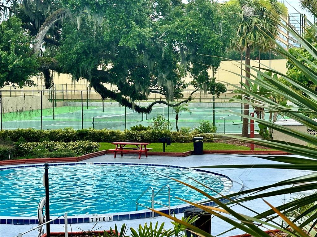 435 Wymore Road, Unit 207 Altamonte Springs, FL 32714 - Photo 15 of 17 a view of swimming pool with lawn chairs and plants