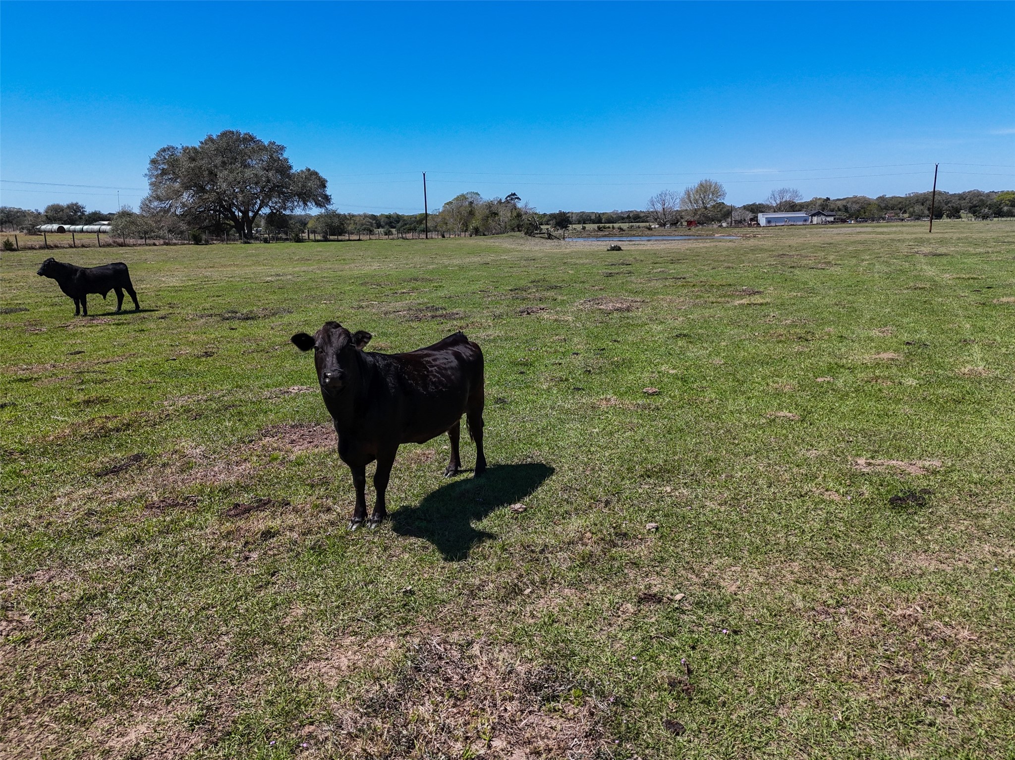 1 Reitz Quinn Road Cat Spring, TX 78933 - Photo 6 of 12 a view of a lake with a yard