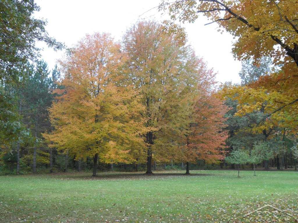 6760 South Steel Road St. Charles, MI 48655 - Photo 31 of 43 Fall Yard