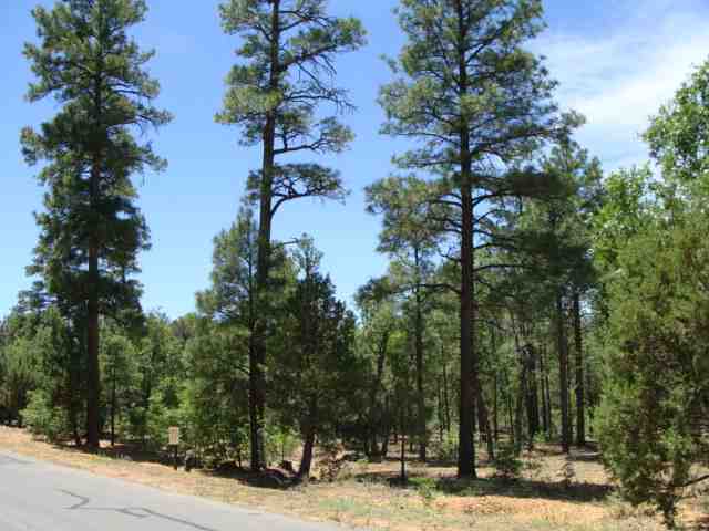 Lot 288 South Falling Leaf Road Show Low, AZ 85901 - Photo 1 of 19 Gallery Image 1