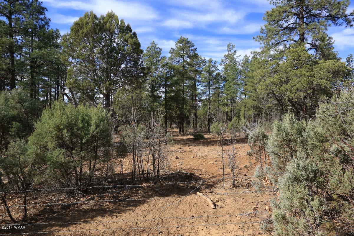Lot 288 South Falling Leaf Road Show Low, AZ 85901 - Photo 3 of 19 Gallery Image 3