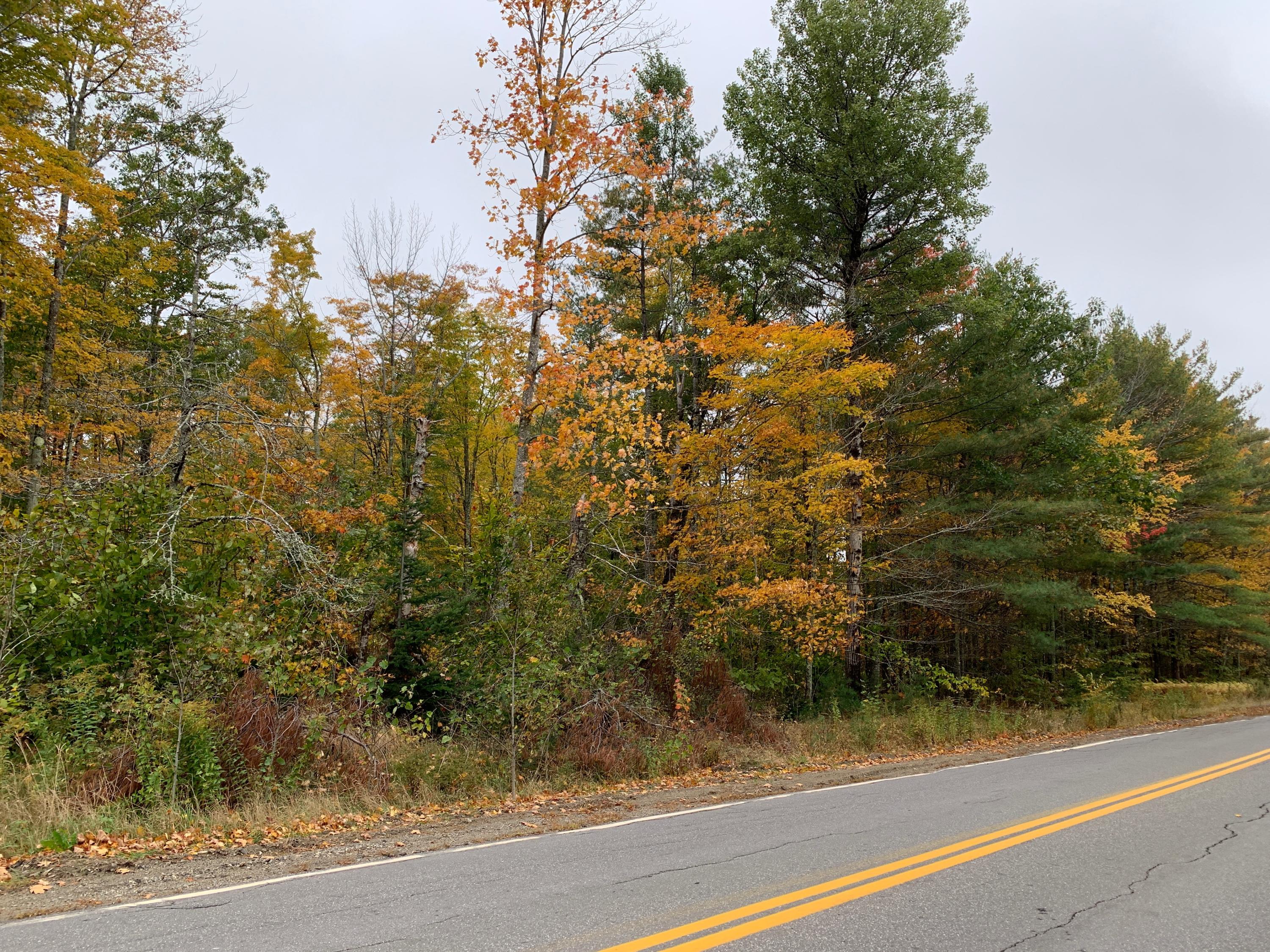 0 West Washington Road Washington, ME 04574 - Photo 11 of 11 IMG_2926