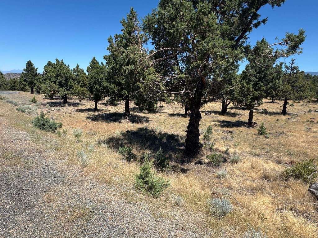 U 9-2 Lot 258 Quail Ridge Weed, CA 96094 - Photo 2 of 23 Gallery Image 2