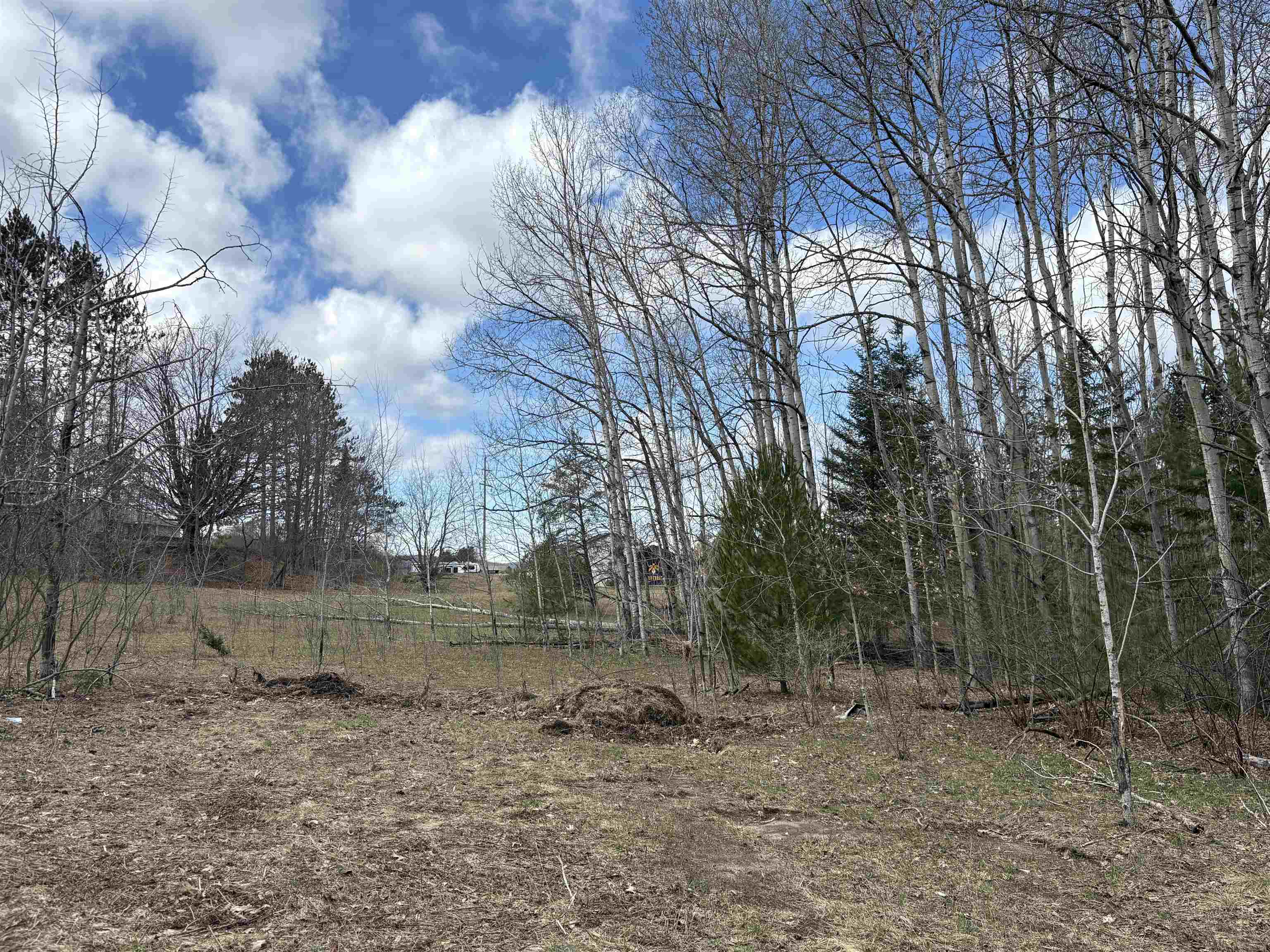 2450 North Marshall Road Beulah, MI 49617 - Photo 3 of 21
