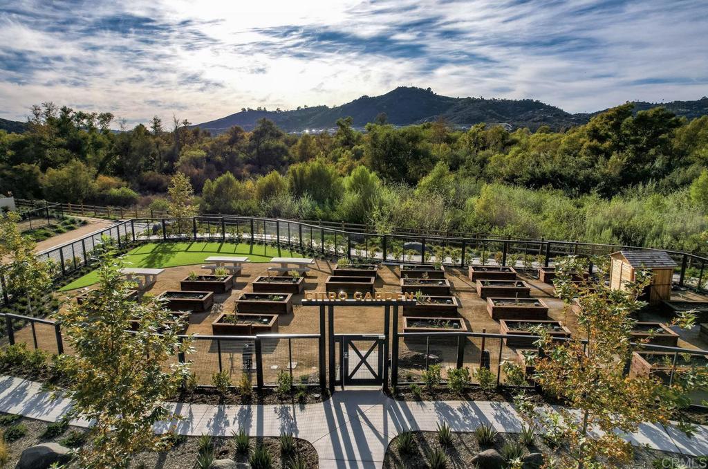 311 Minneola Place Fallbrook, CA 92028 - Photo 34 of 38