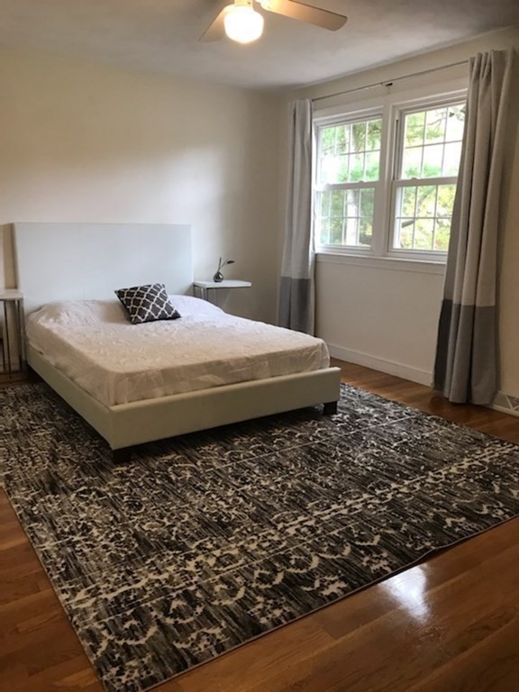 721 Hammond Street, Unit 721 Brookline, MA 02467 - Photo 19 of 39