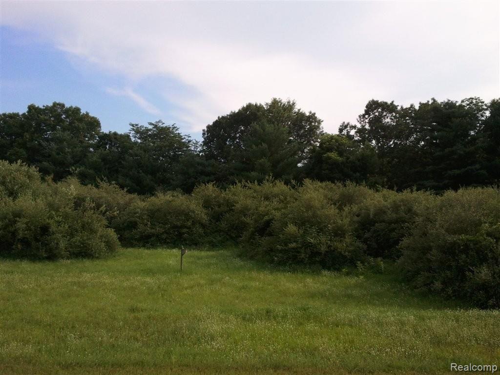 6680 West Coon Lake Road Howell, MI 48843 - Photo 6 of 16 property.jpg