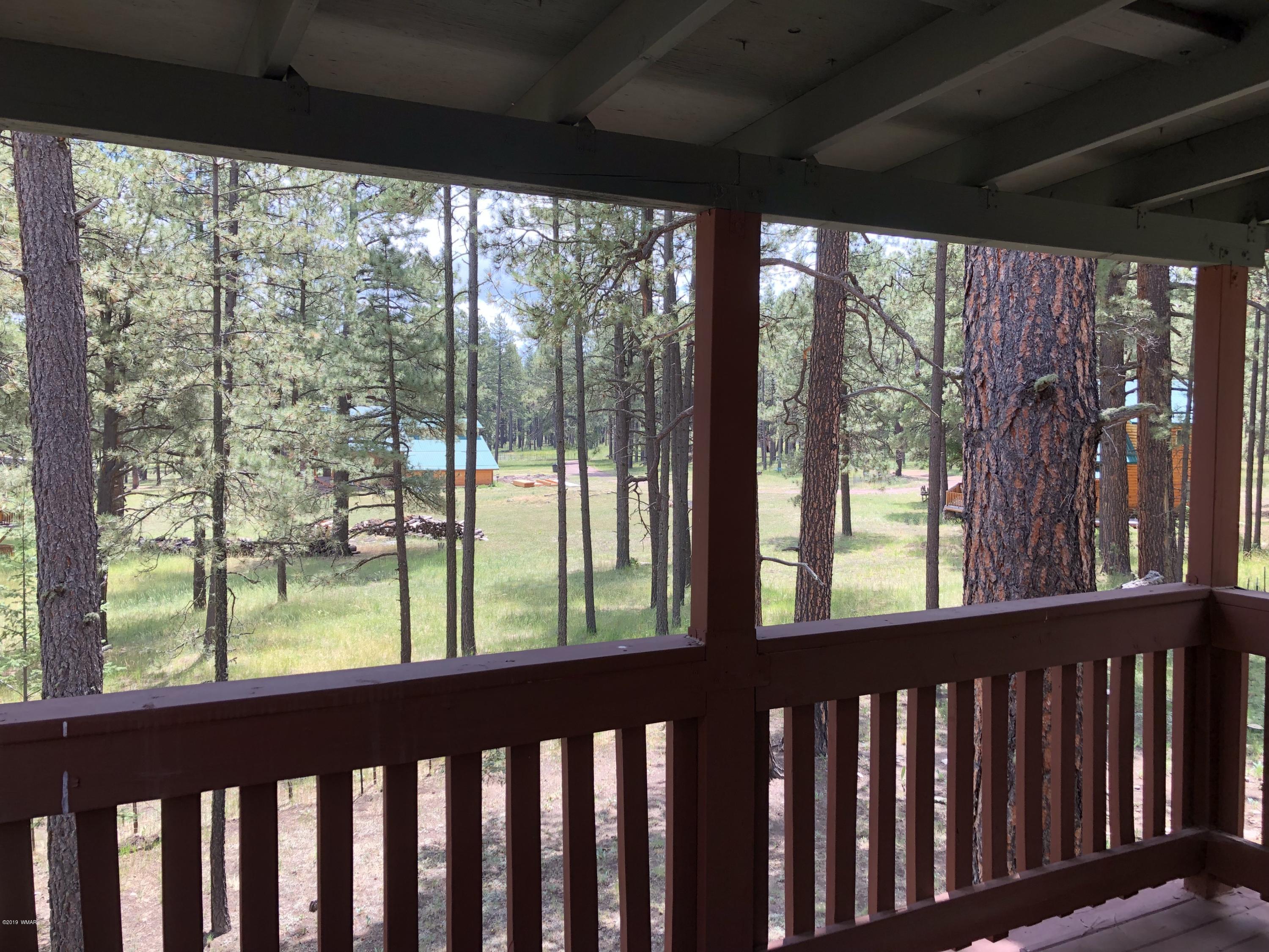 12 Co Road Alpine, AZ 85920 - Photo 34 of 51