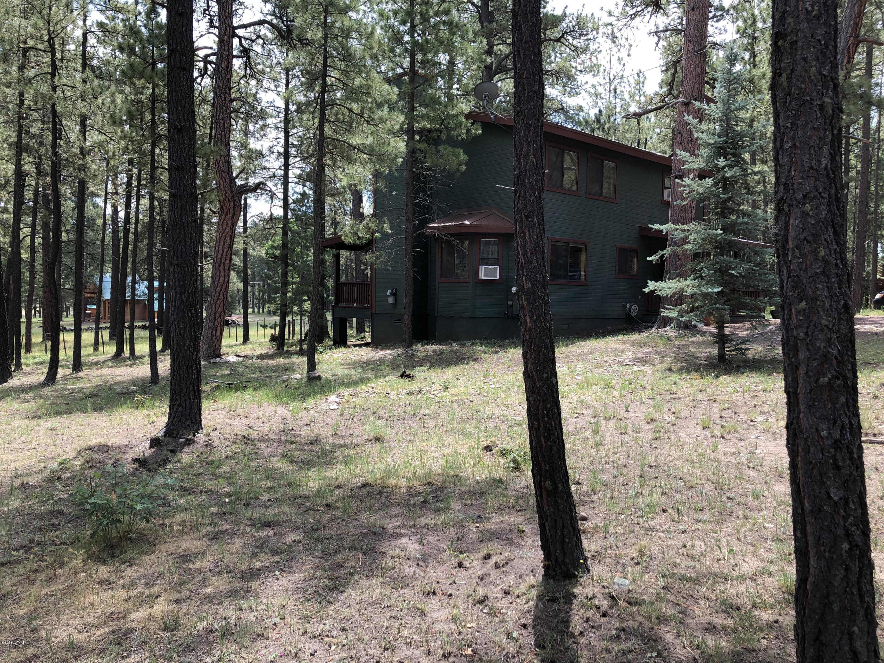 12 Co Road Alpine, AZ 85920 - Photo 8 of 51