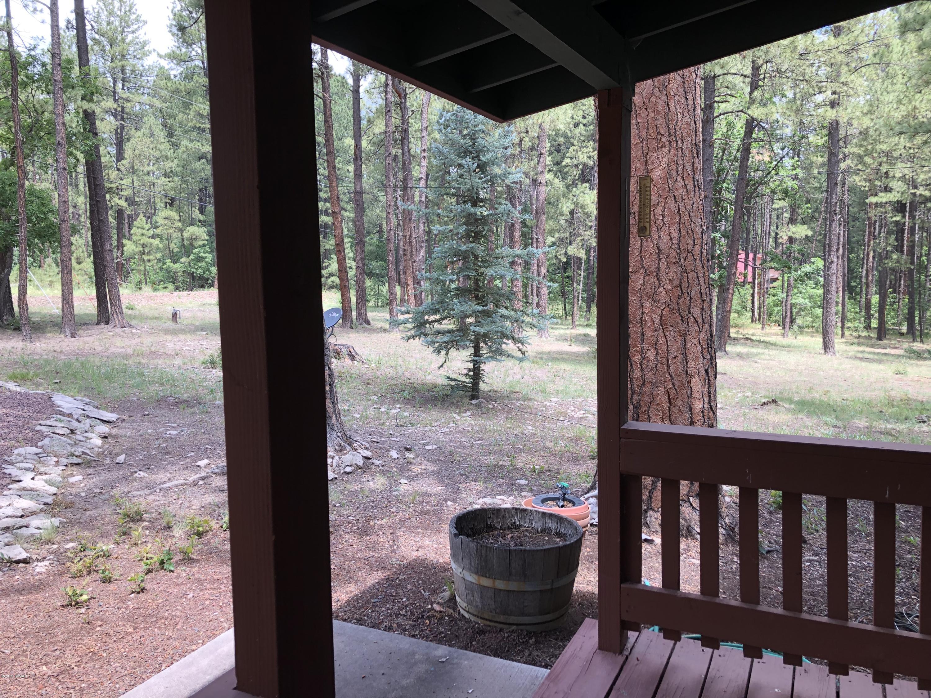 12 Co Road Alpine, AZ 85920 - Photo 10 of 51