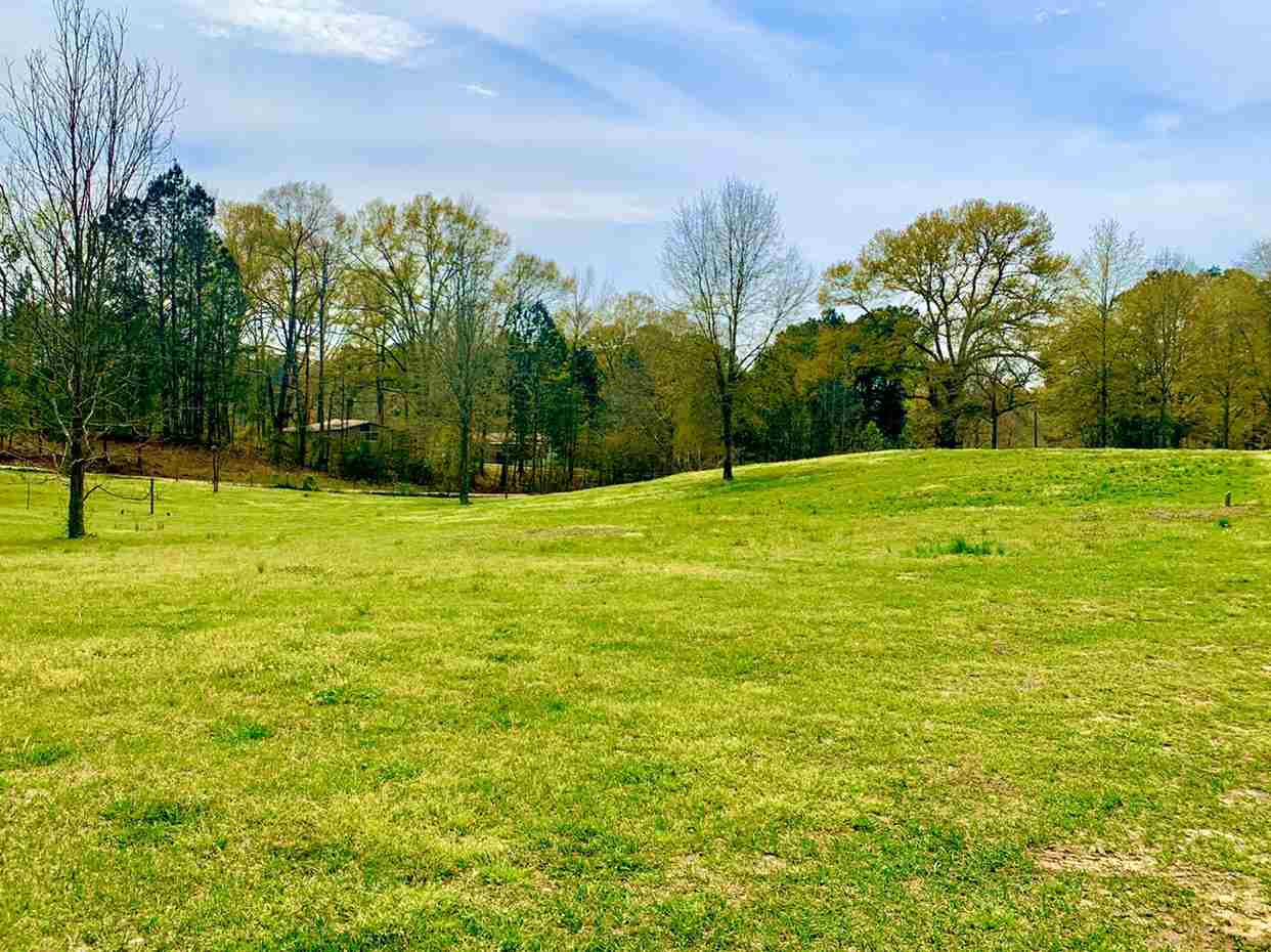 510 Kersh Road Brandon, MS 39042 - Photo 14 of 28 Photo 15